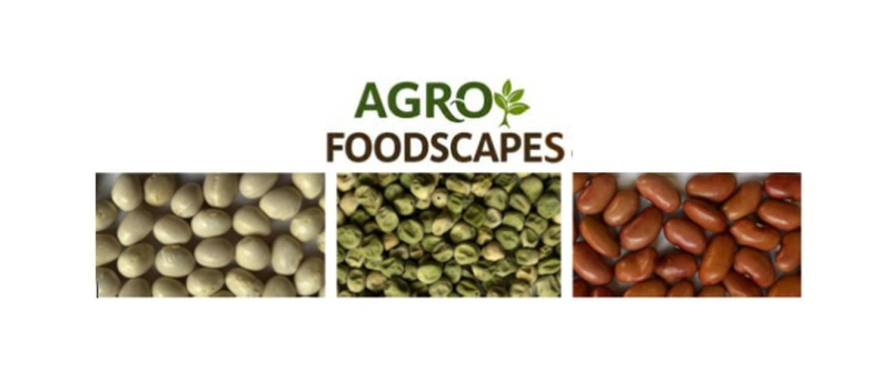 Agrofoodscapes Logo y semillas